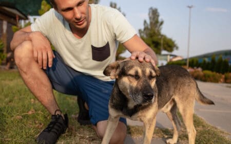 A man petting his service dog.