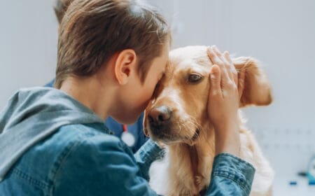 A service dog assisting an autistic child.