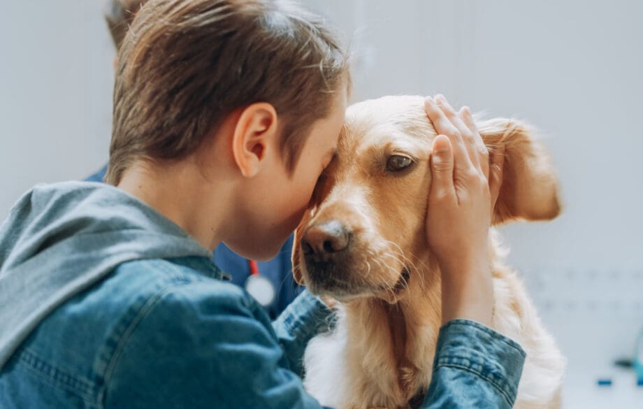 A service dog assisting an autistic child.