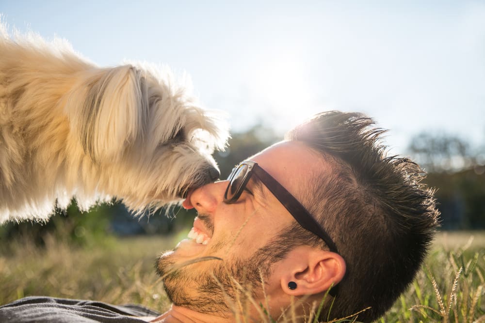 dog licking man's nose