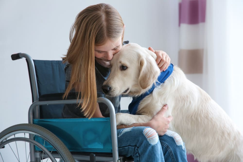 girl in wheelchair hugging dog