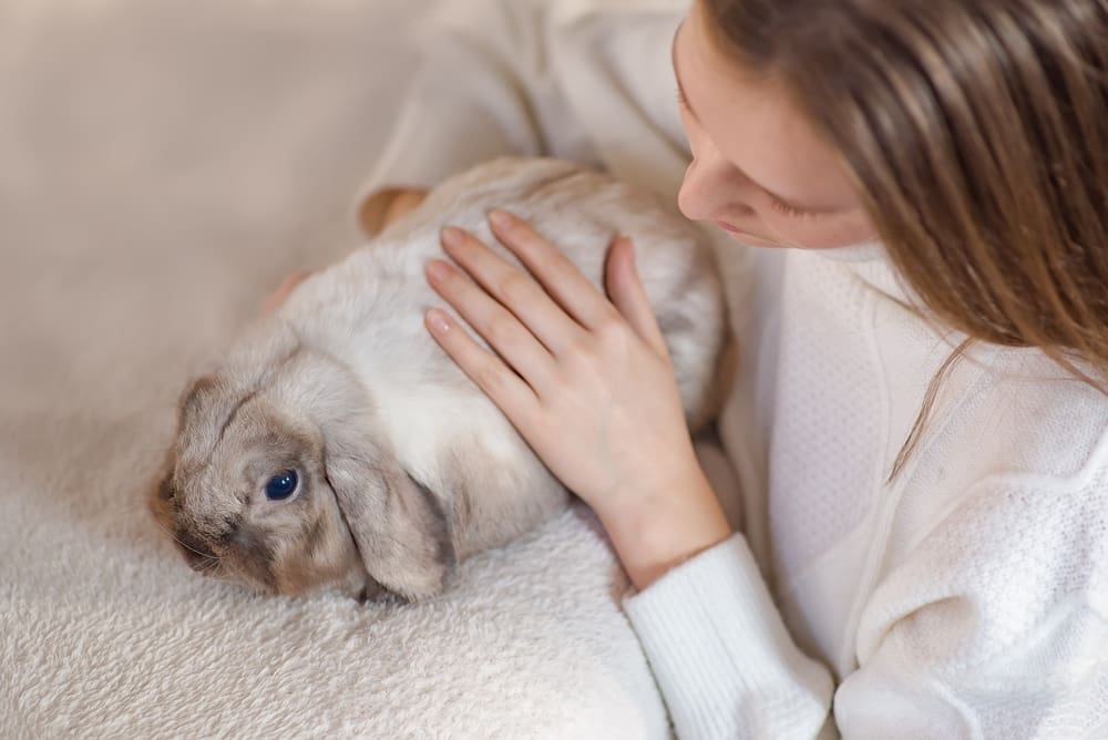 girl petting rabbit at home