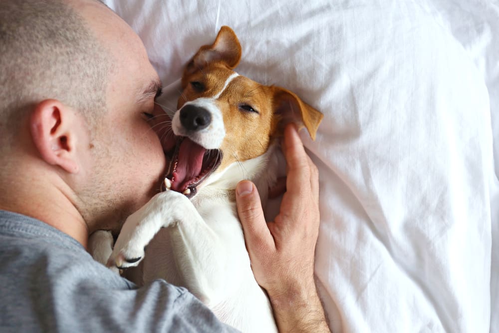 man cuddling with emotional support dog on a bed