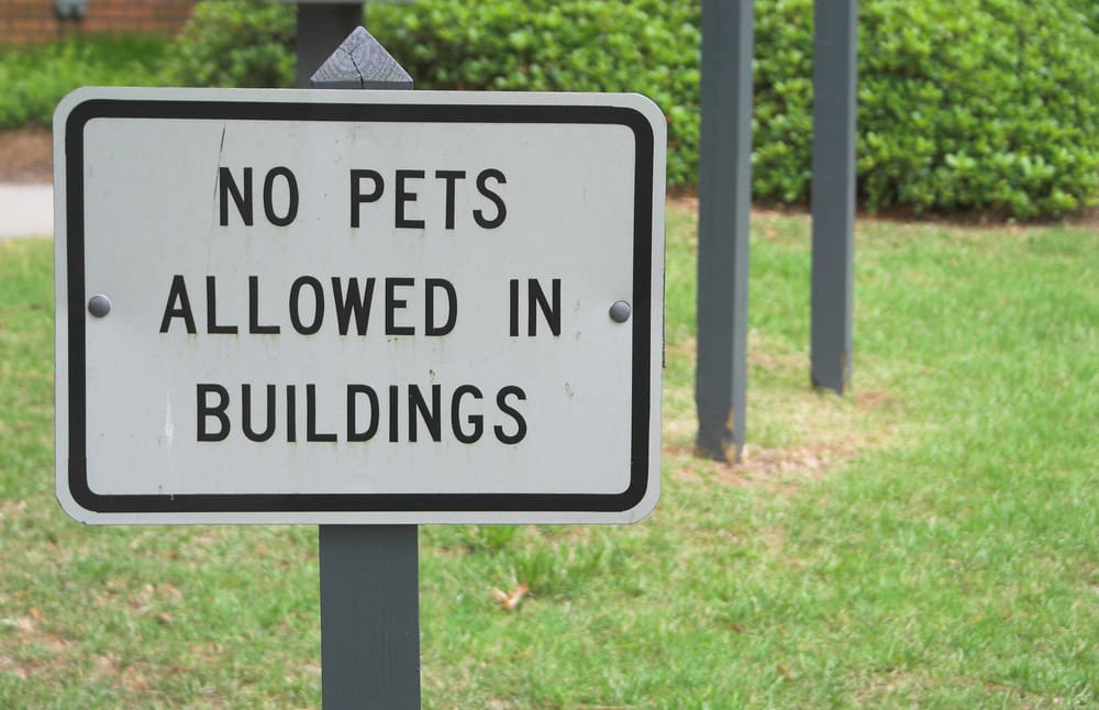 no pets allowed in buildings sign