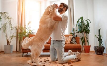 man playing with a dog