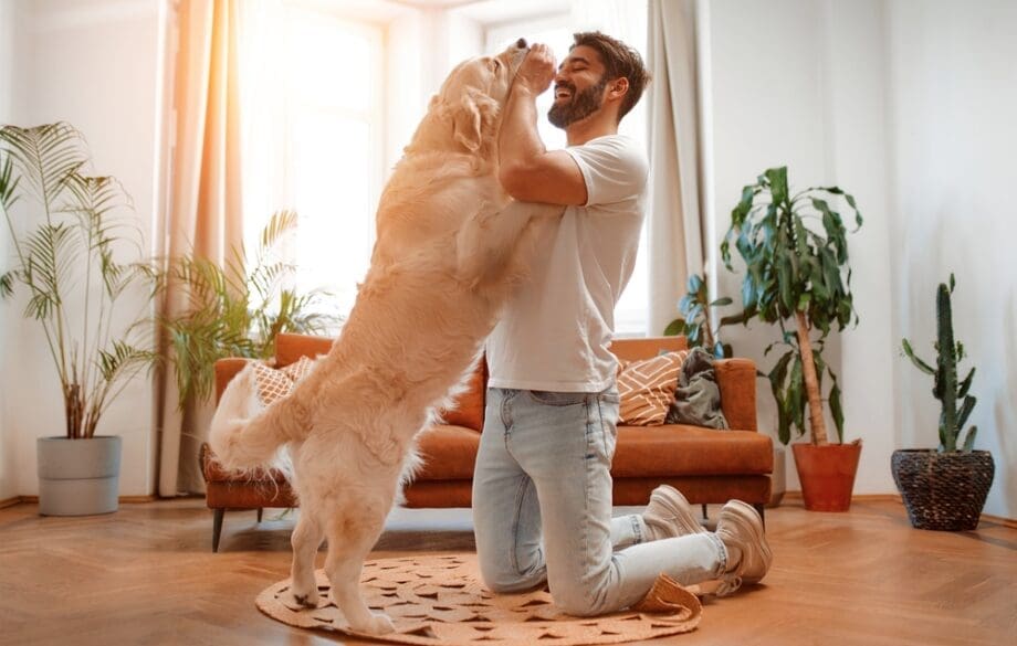 man playing with a dog