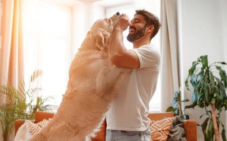 man playing with a dog