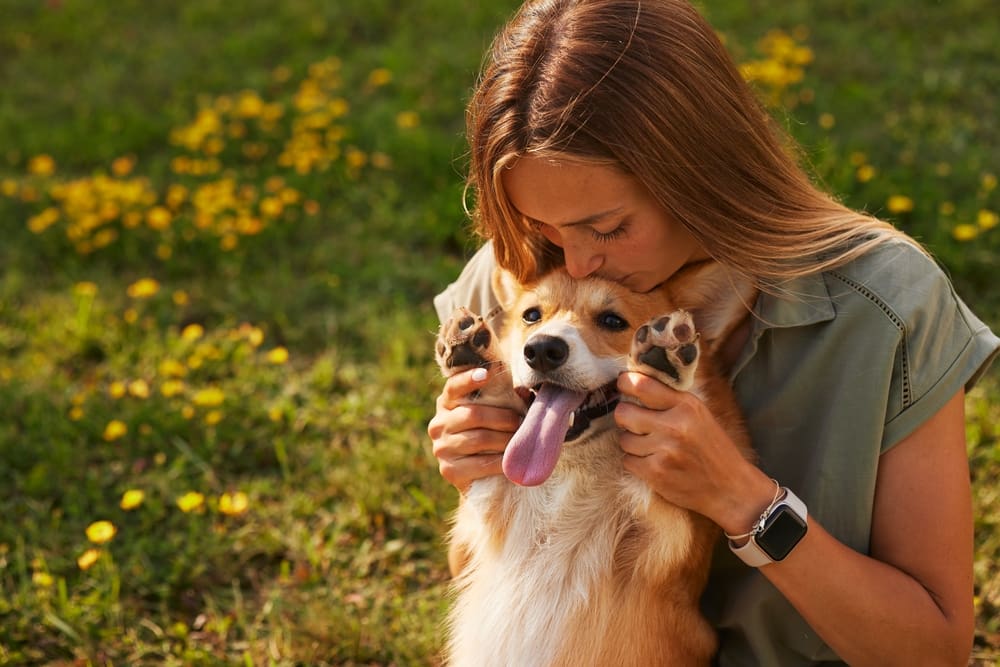 A young woman holding a corgi in a city park.