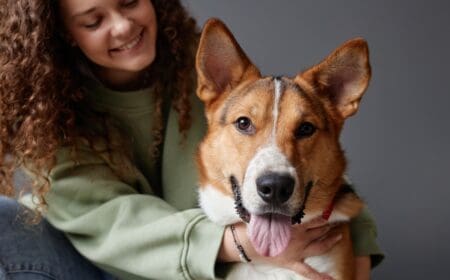 An emotional support animal being held by its owner, obtained after a successful ESA letter template was used.