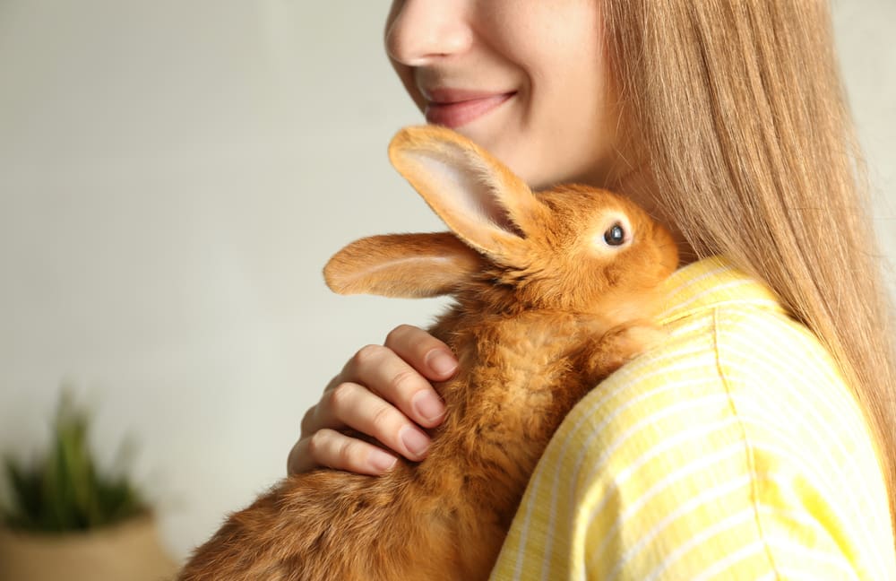 smiling woman holding rabbit