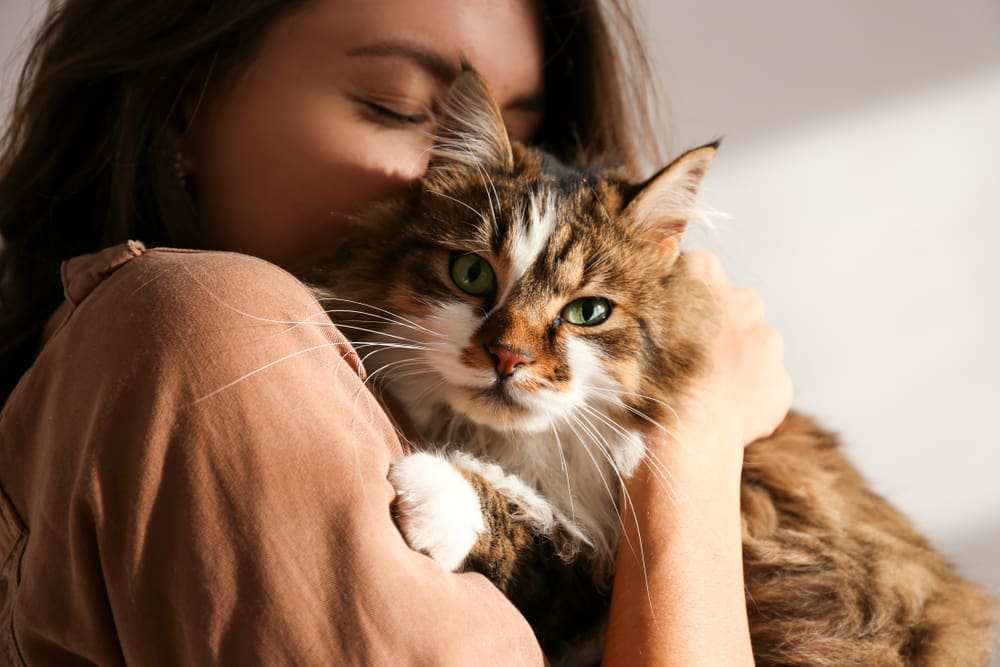 woman snuggling cat