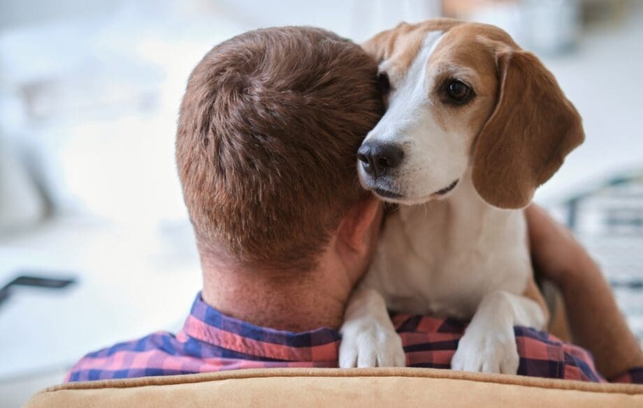 blond man hugging beagle