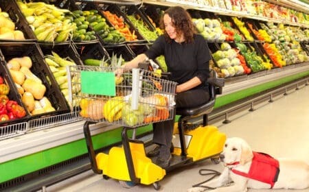 service dog in a store