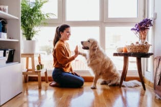 woman high-fiving a dog