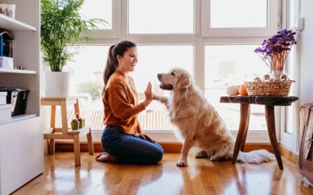 woman high-fiving a dog