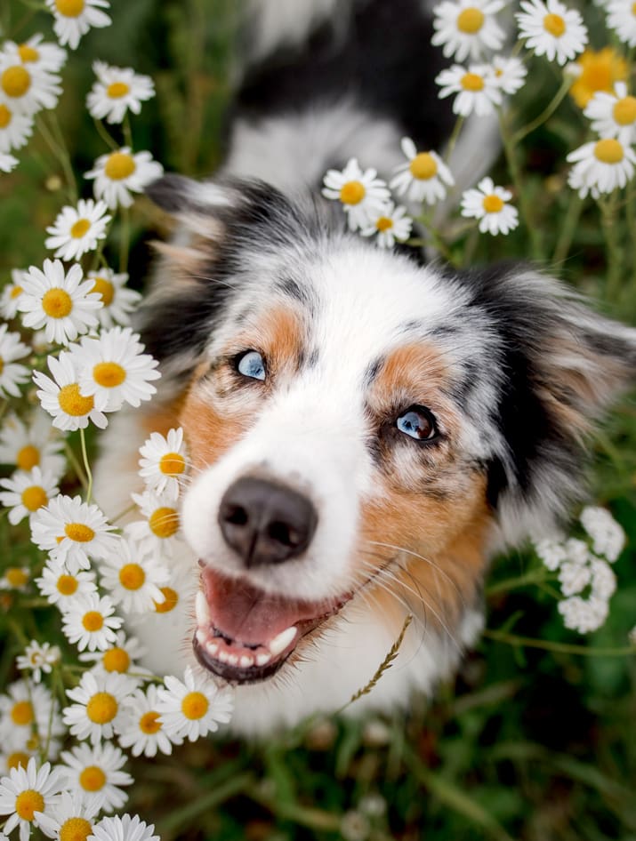 https://unsplash.com/photos/Qtg_270Aa_I