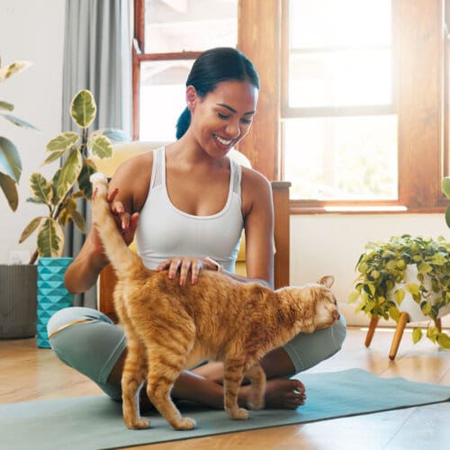 woman-on-yoga-matt-petting-cat