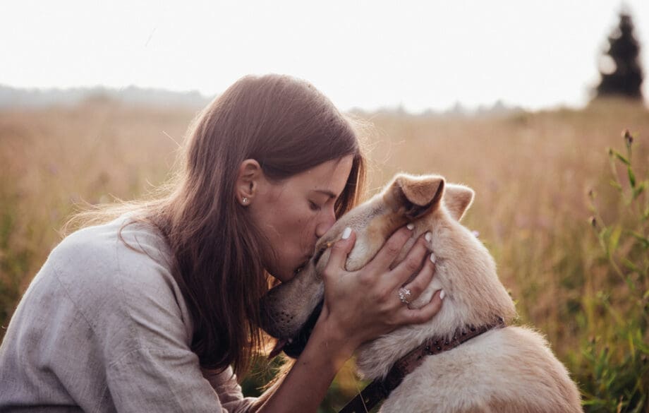 woman petting dog while sitting outdoors