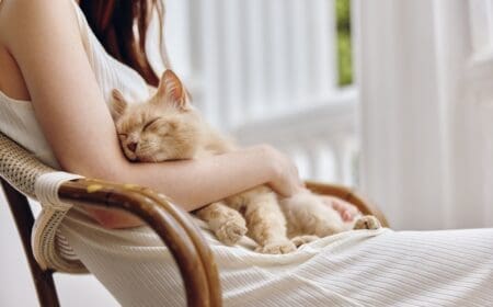 cat sitting on woman's lap