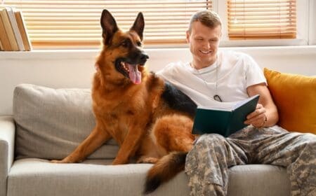 service dog sitting with veteran owner