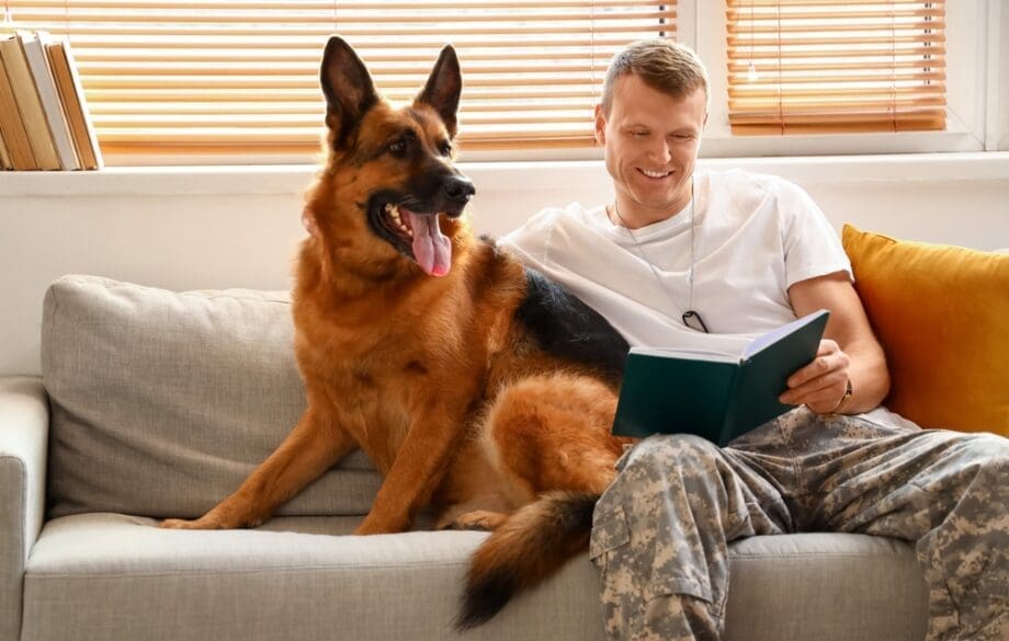 service dog sitting with veteran owner