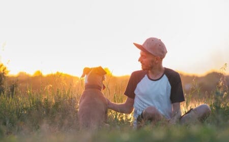 man interacting with dog during sunset