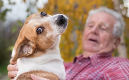 senior man cuddling with dog outdoors