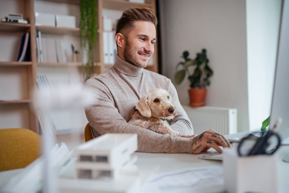 smiling man with dog on his lap at his desk in his office