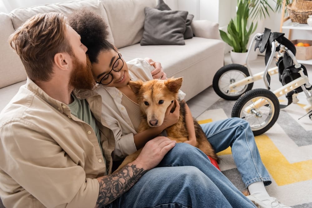 a couple with a dog