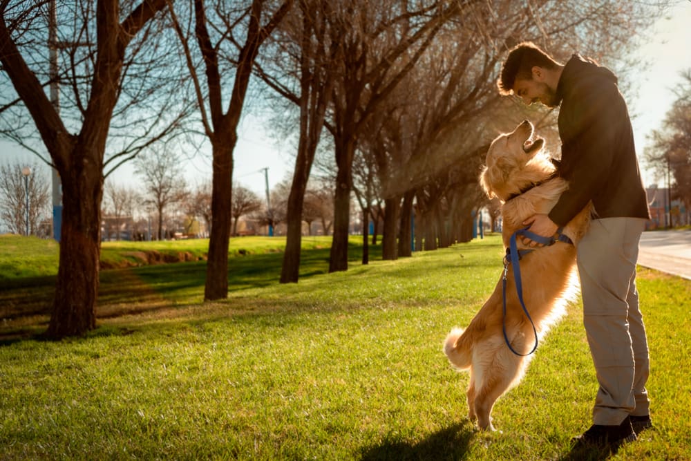 man with a golden retriever