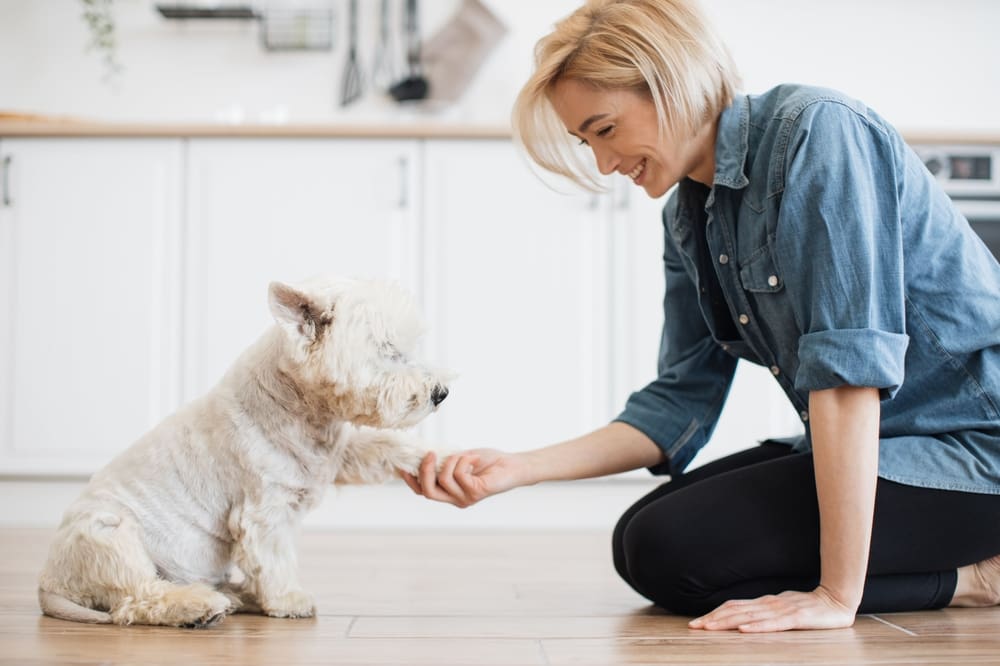 woman holding dog’s left paw