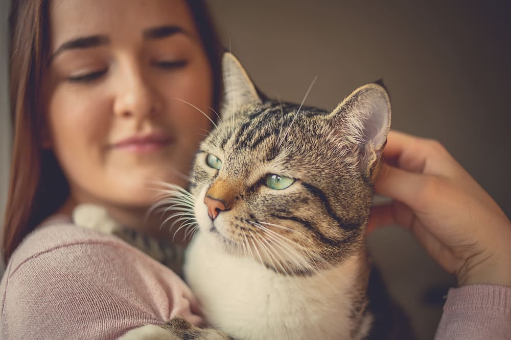 woman hugging a cat