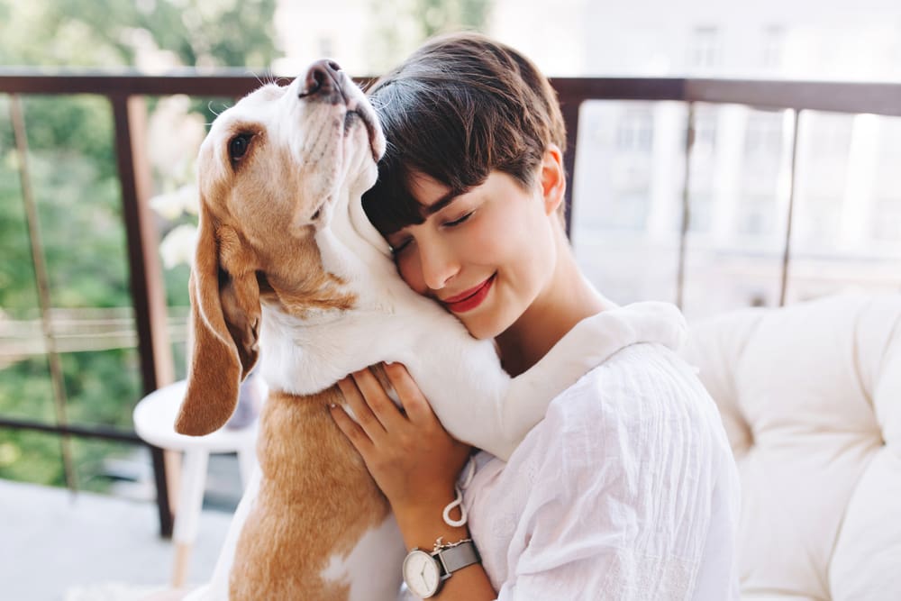 smiling woman hugging a beagle dog