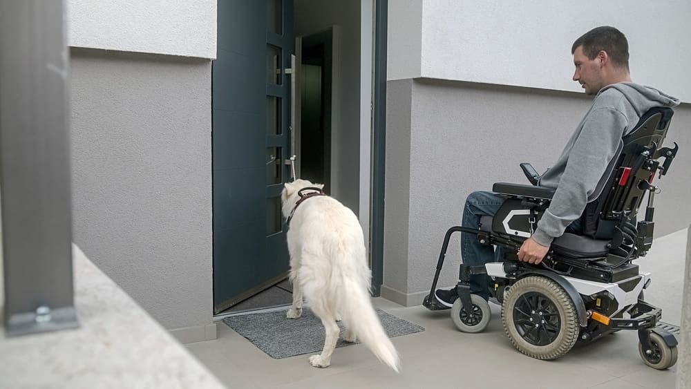 A service animal opening the door for handler.