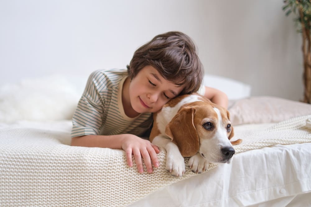 A boy hugging his dog in bed.