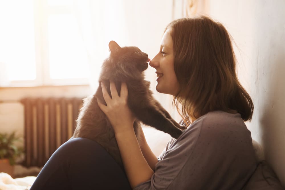 Pet owner hugging their cat at home.