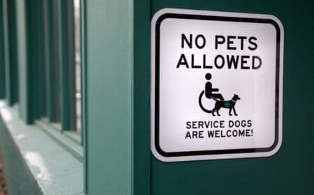 A sign saying no pets allowed, service dogs are welcome.