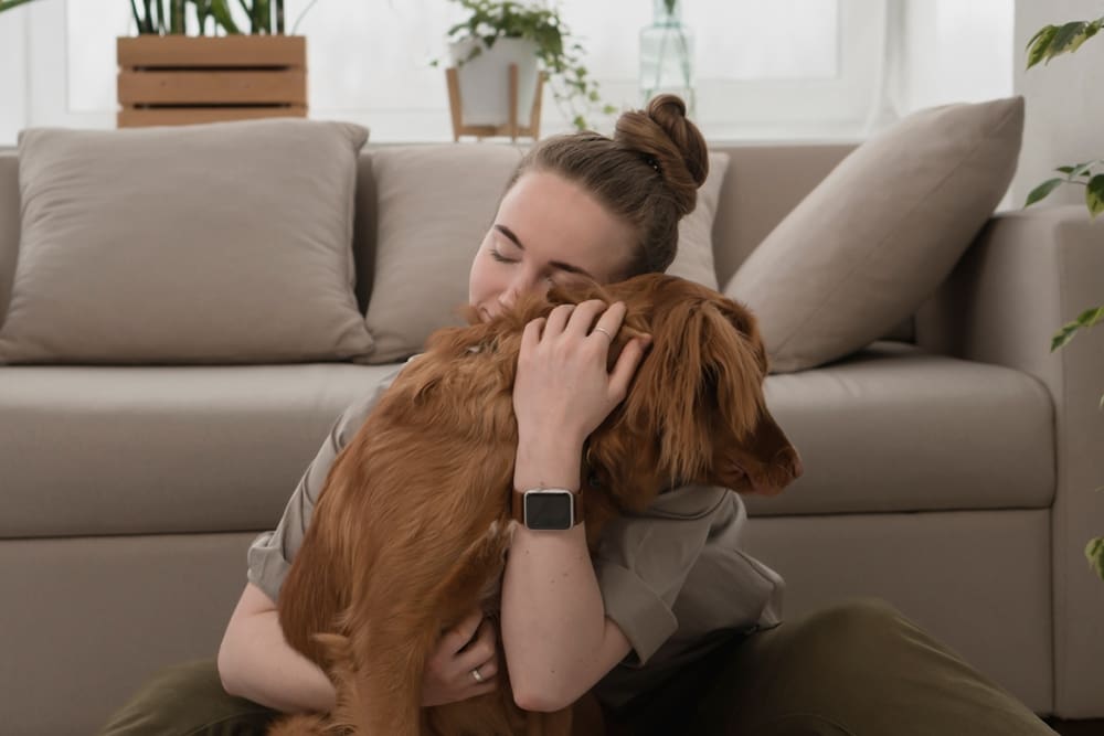 Emotional support animal being hugged by their companion.