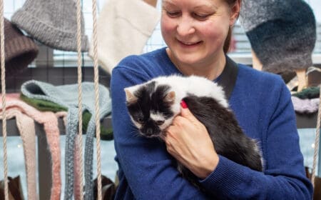 A cute service cat serving as an emotional support animal.