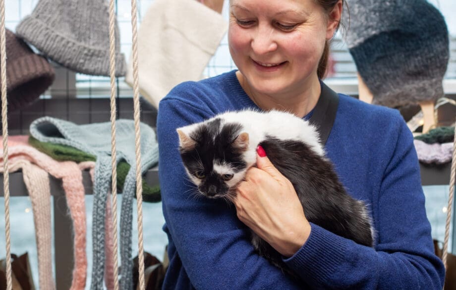 A cute service cat serving as an emotional support animal.