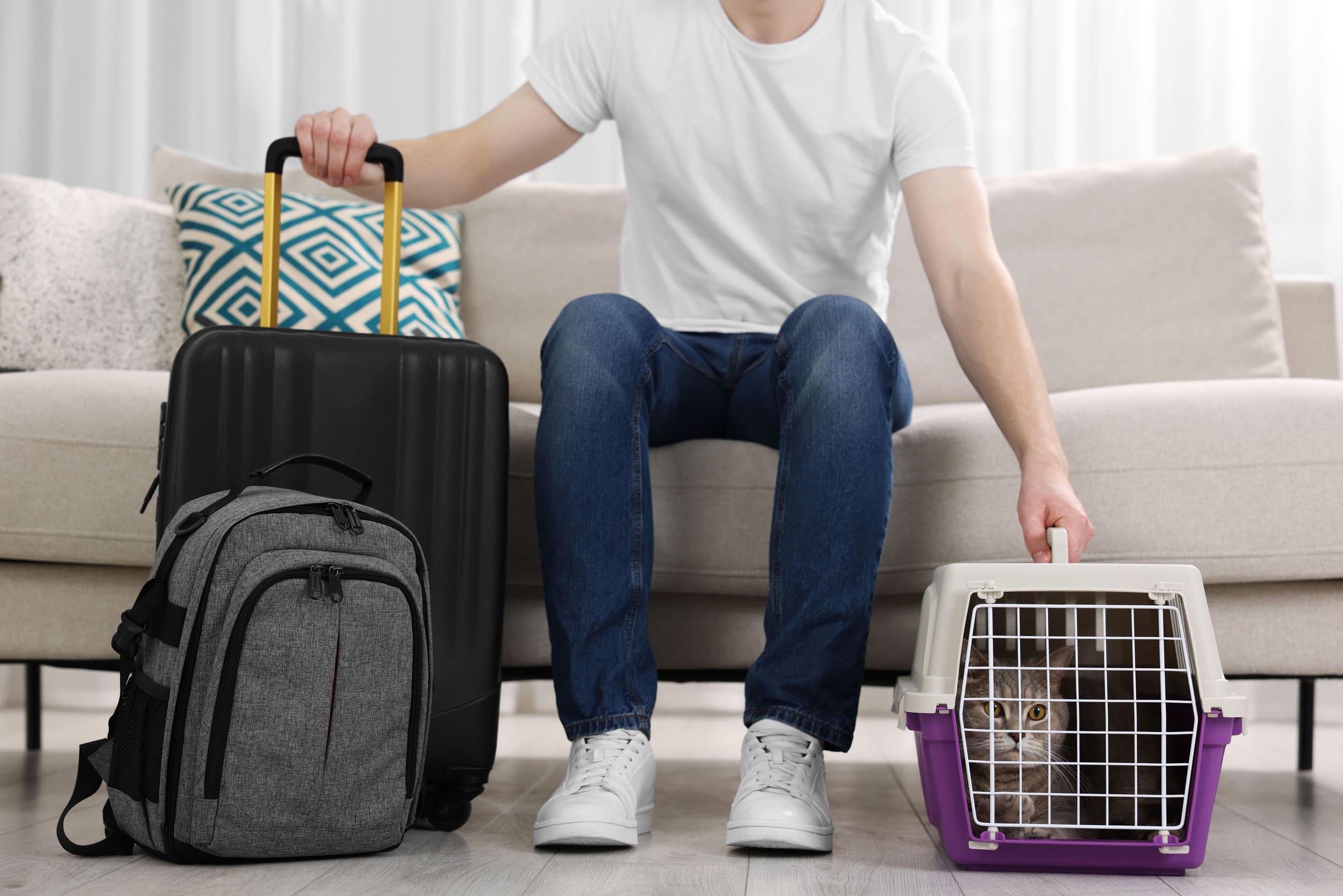 A student sitting on a couch with luggage beside them and a cat in a carrier, representing students preparing to move into colleges that allow pets in dorms.