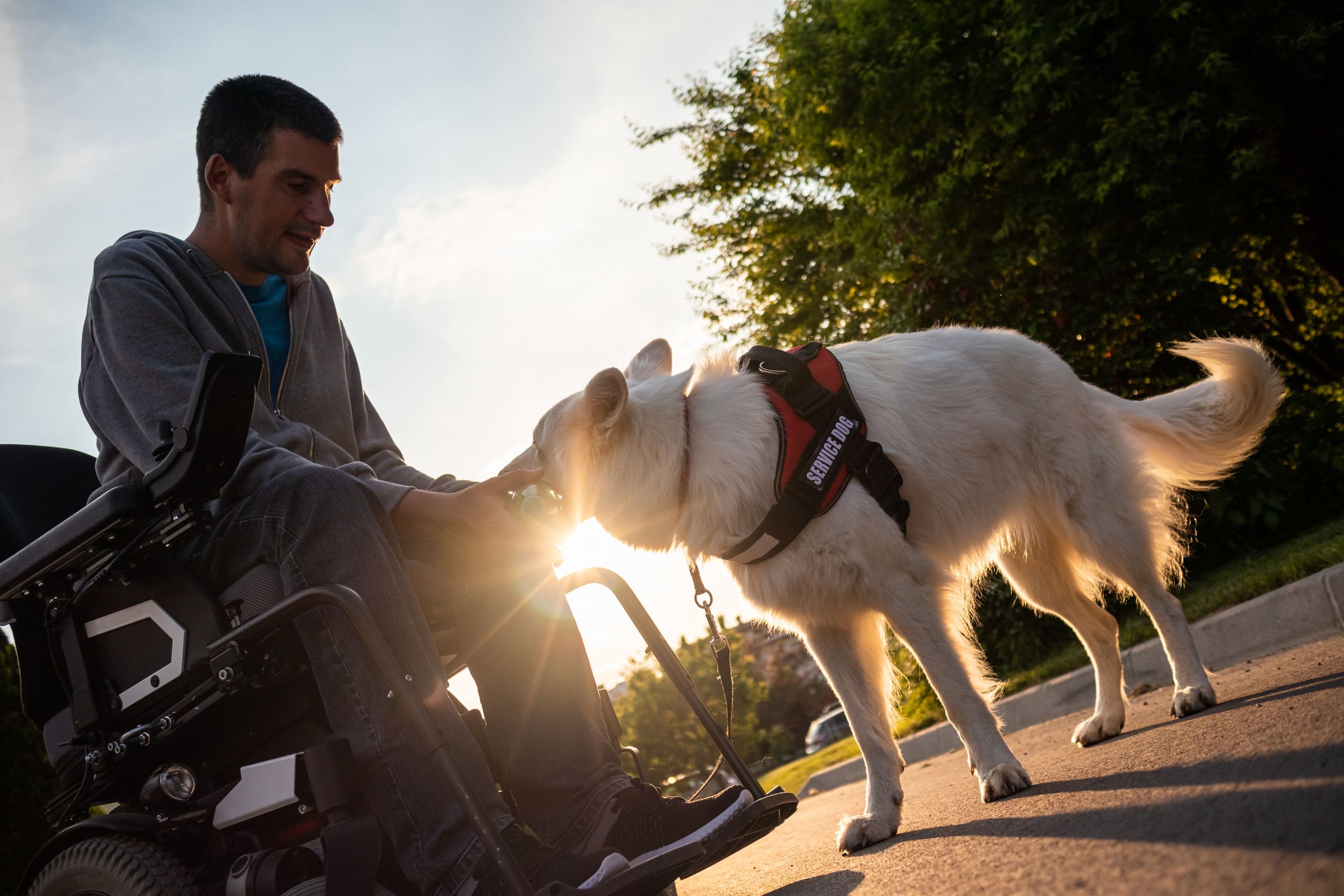 A man interacting with a service dog in a wheelchair after learning how much they cost.